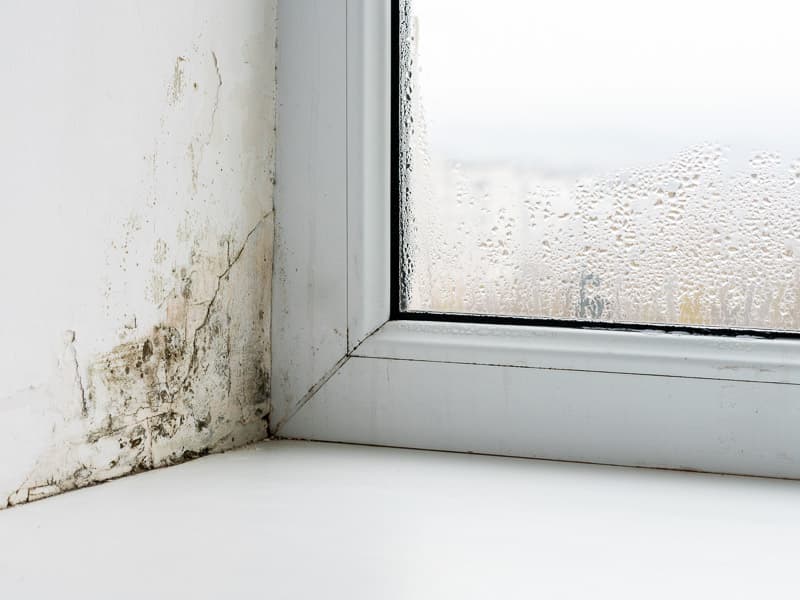 Feuchtigkeit und Schimmel an einem Fensteranschluss